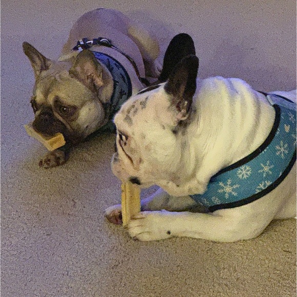 Louis Vuitton Handbags - Live Show is Starting!!